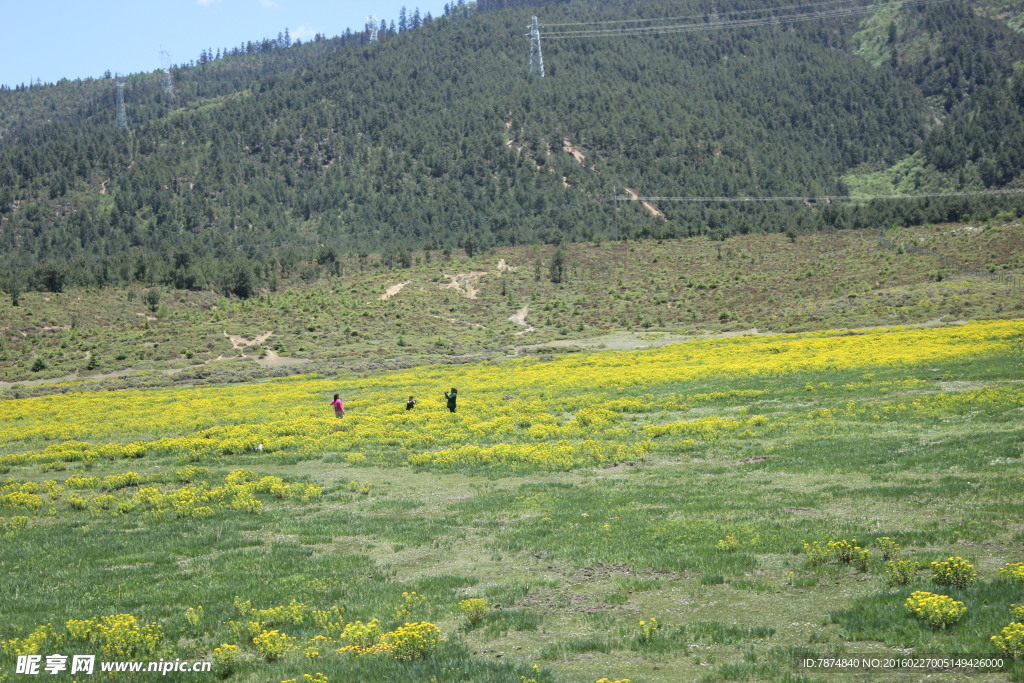 普达措森林公园