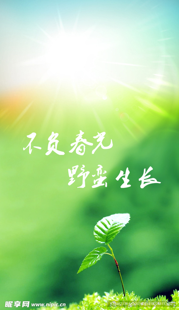 不负春光 野蛮生长