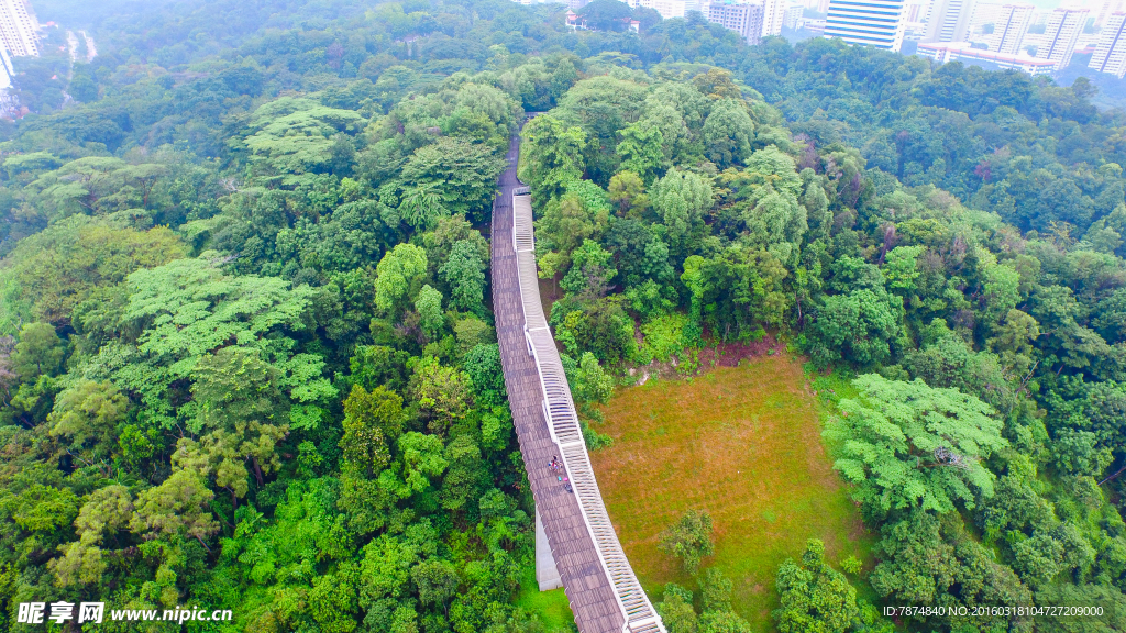 新加坡空中观景栈道