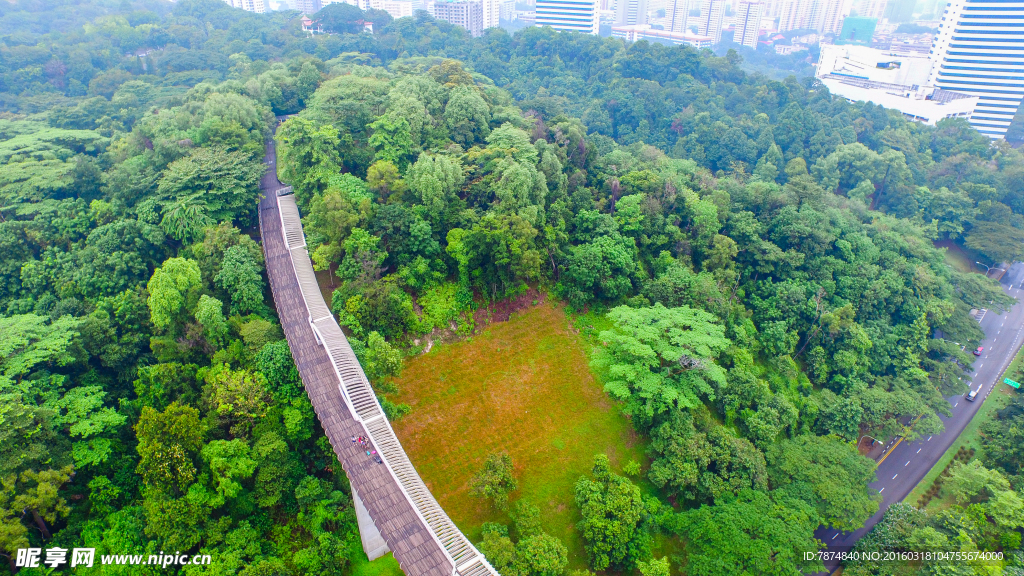 新加坡空中观景栈道