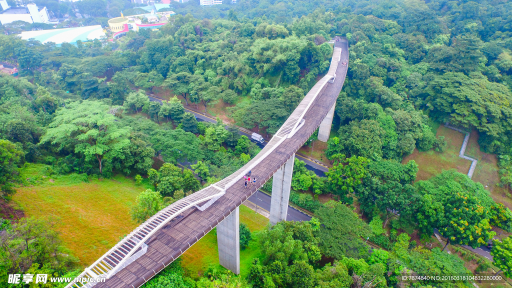 新加坡空中观景栈道