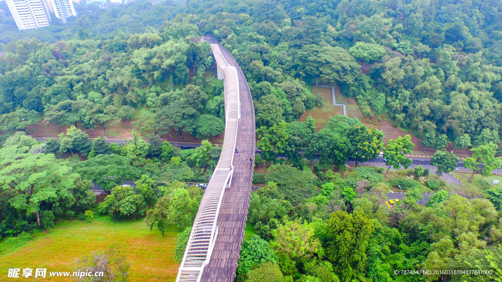 新加坡空中观景栈道
