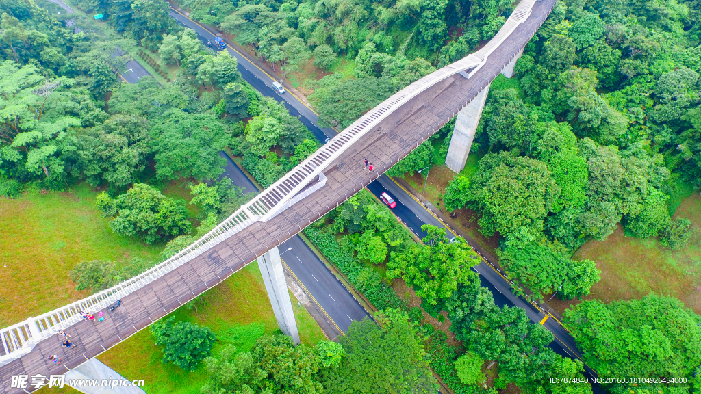 新加坡空中观景栈道