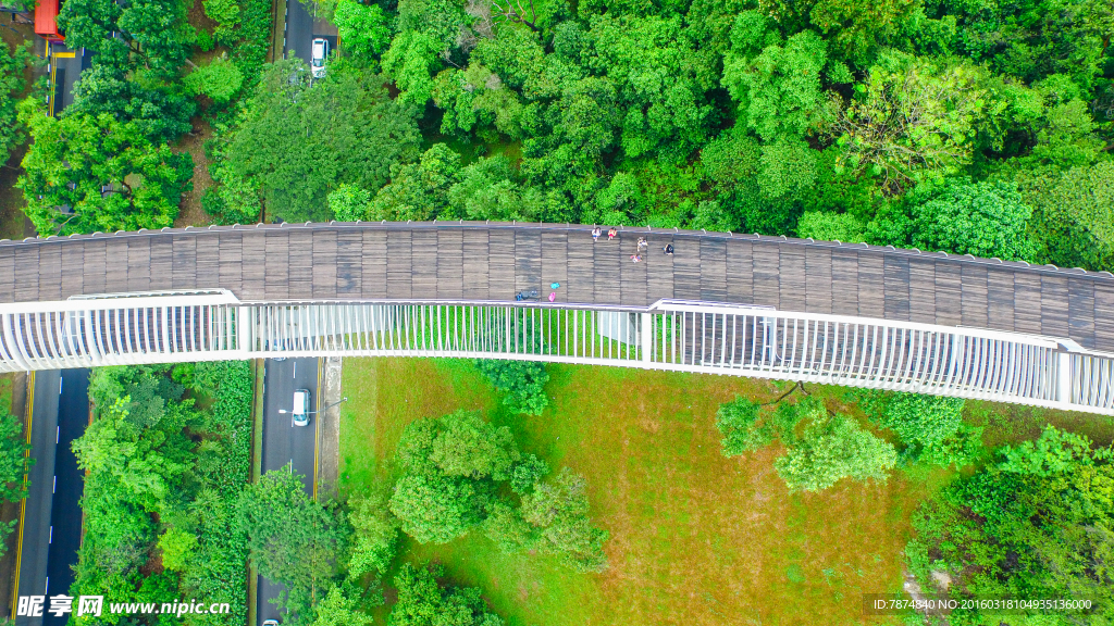 新加坡空中观景栈道