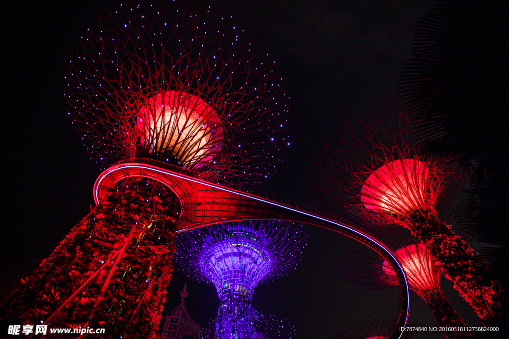 新加坡夜景