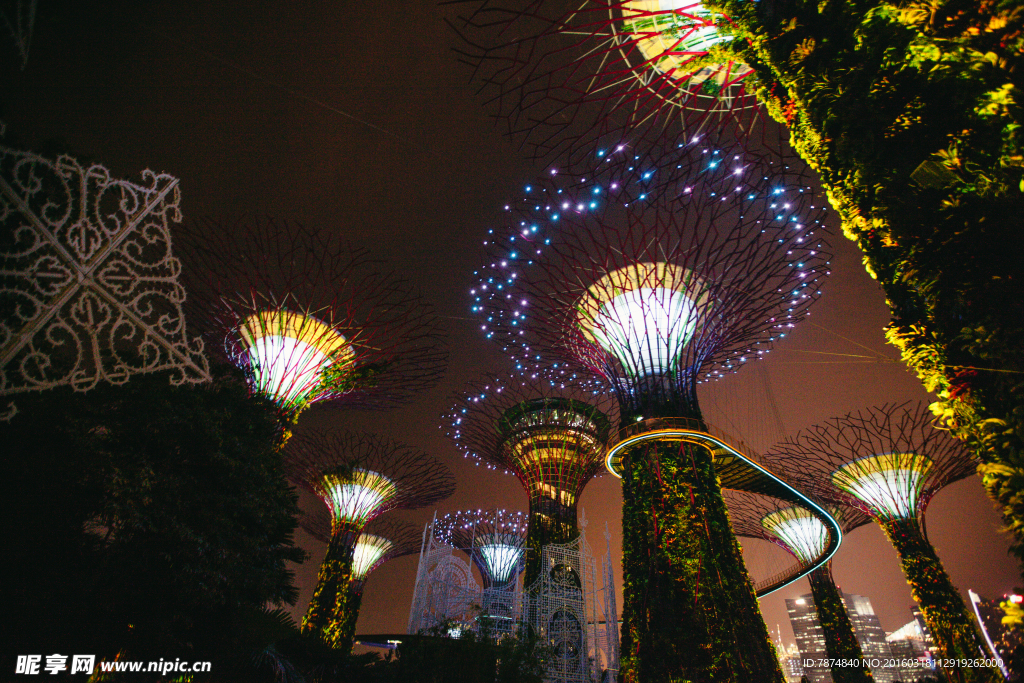 新加坡夜景