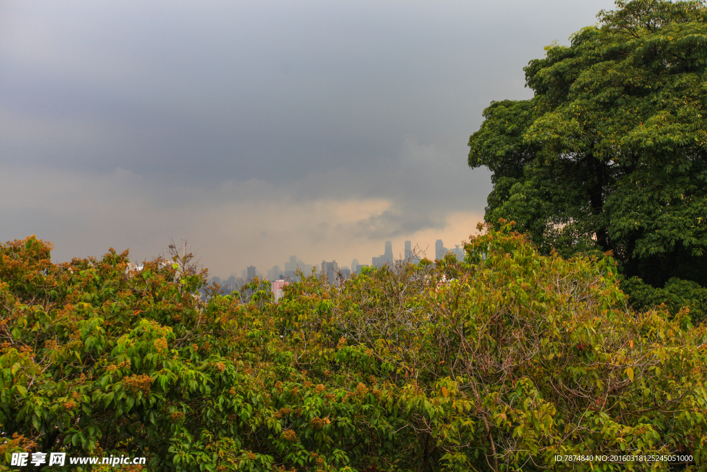 新加坡园林景观