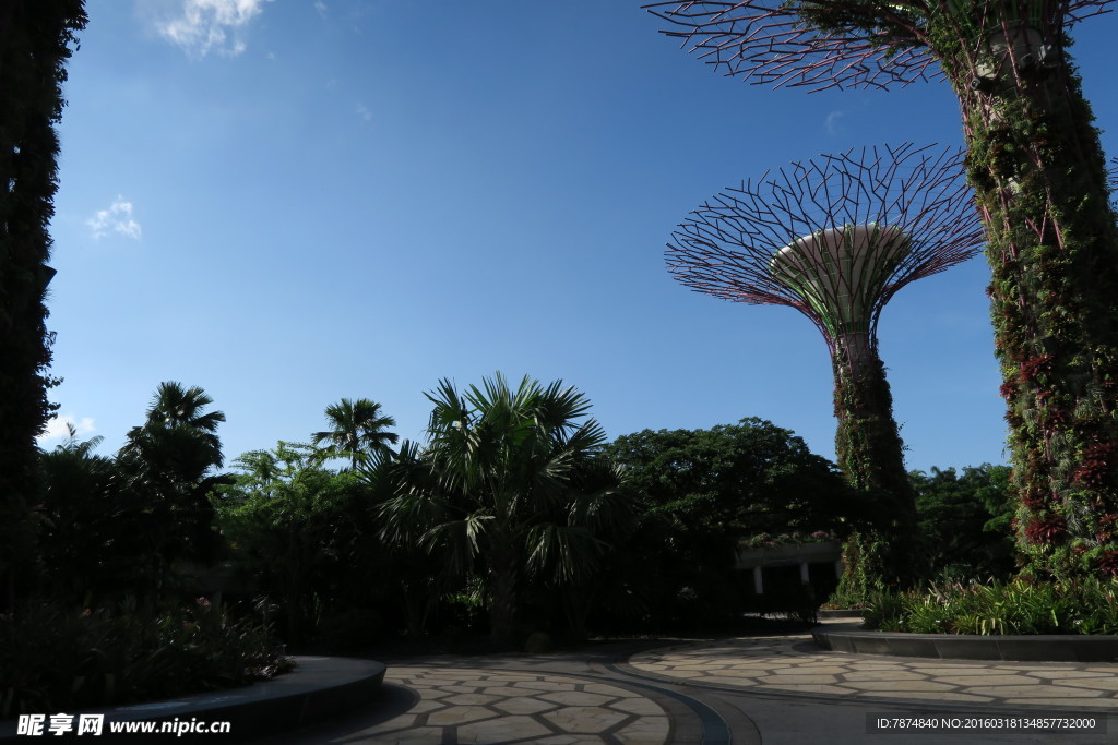 新加坡滨海植物园