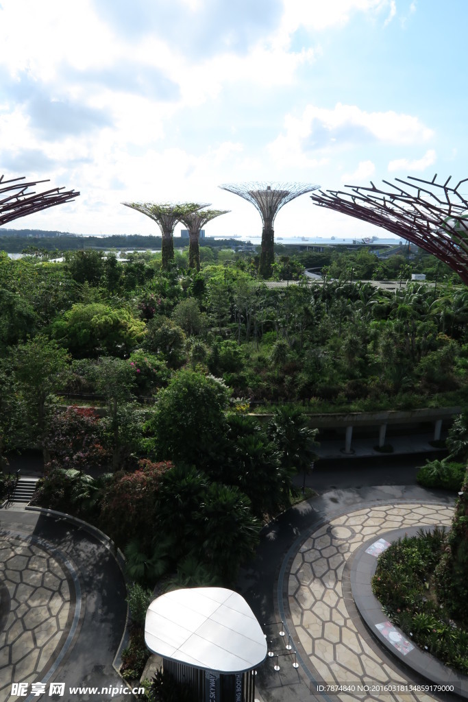 新加坡滨海植物园