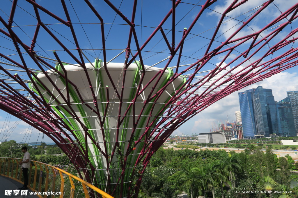 新加坡滨海植物园