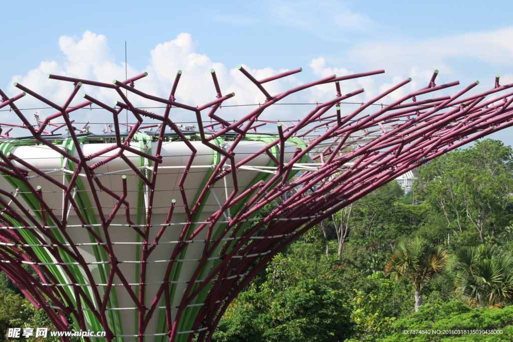 新加坡滨海植物园