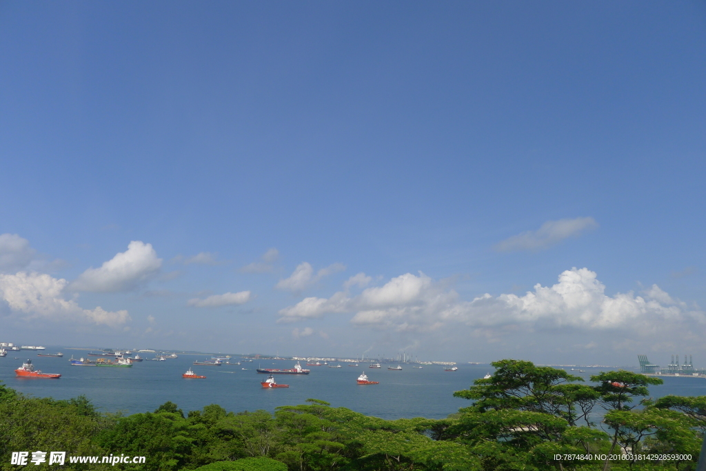 新加坡滨海植物园