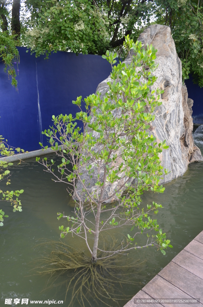 新加坡滨海植物园