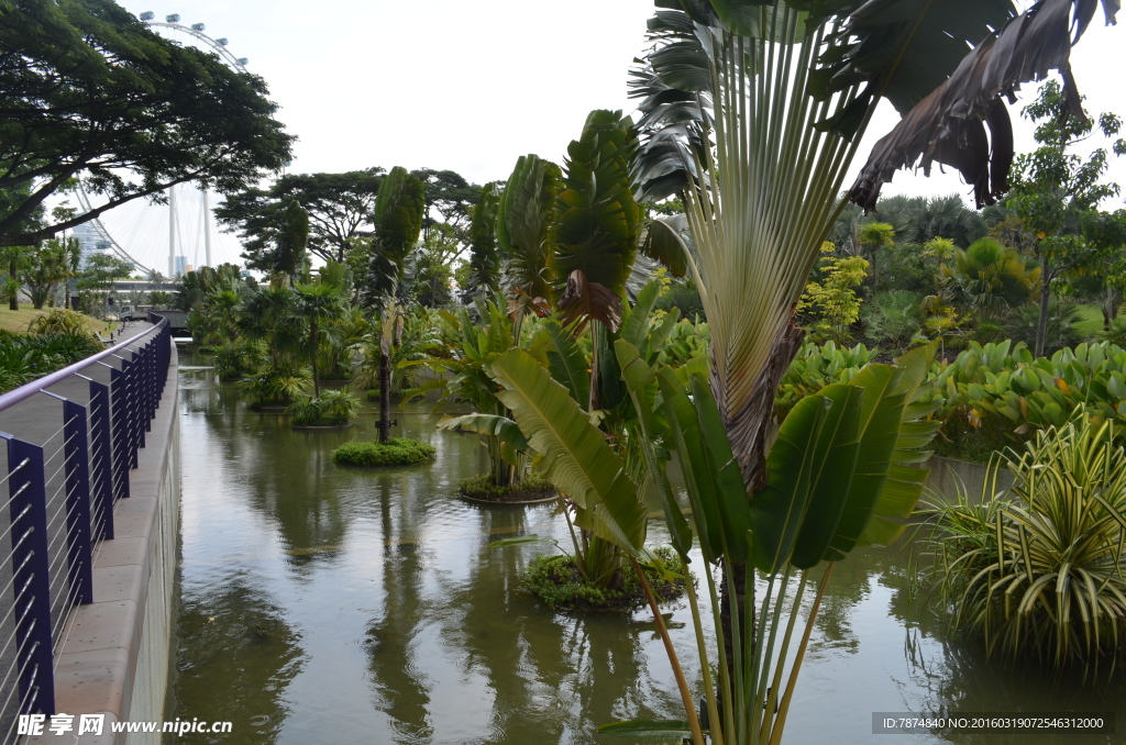 新加坡滨海植物园