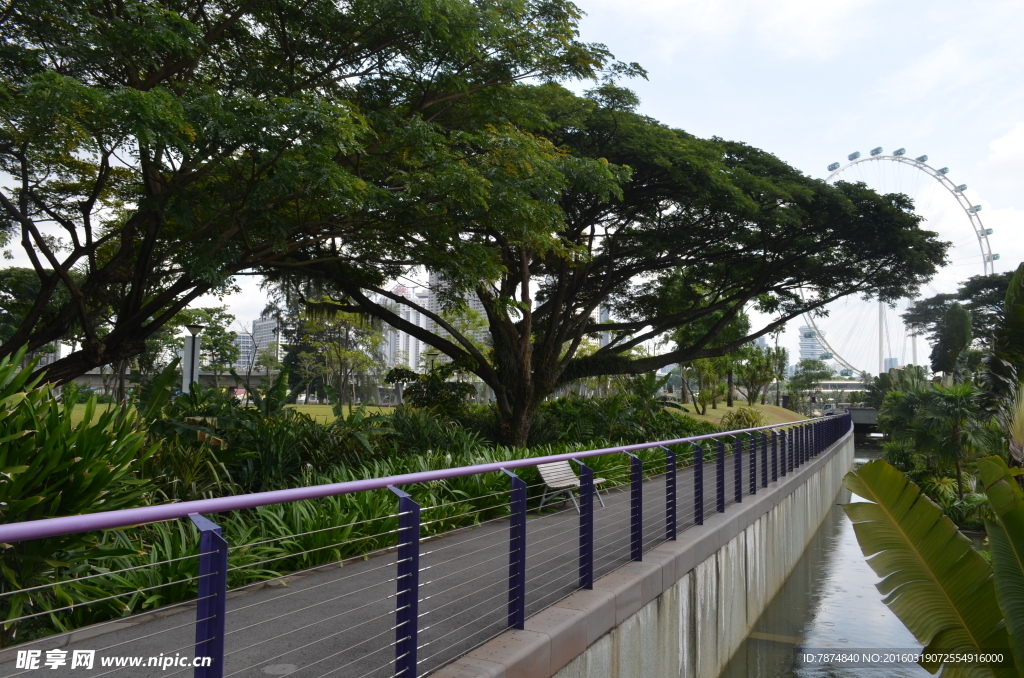 新加坡滨海植物园