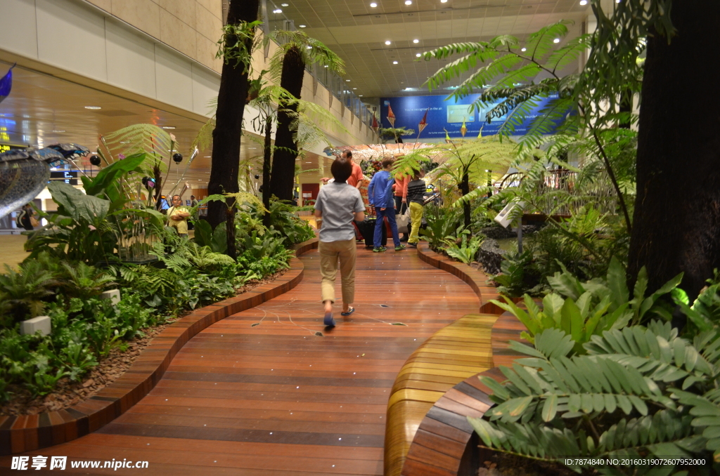 新加坡滨海植物园