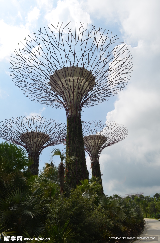 新加坡滨海植物园