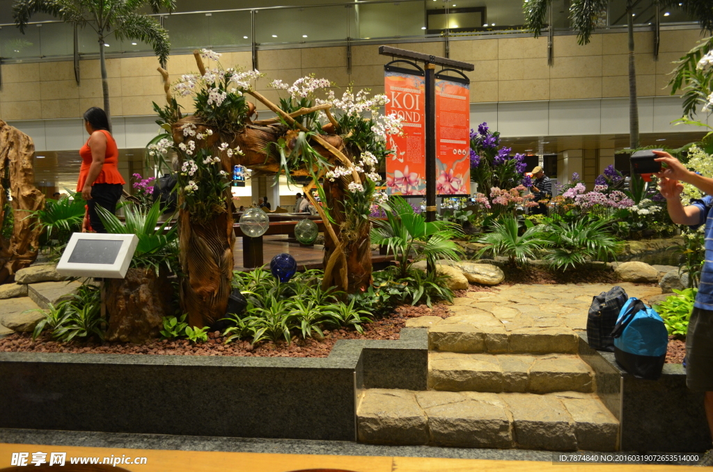 新加坡滨海植物园