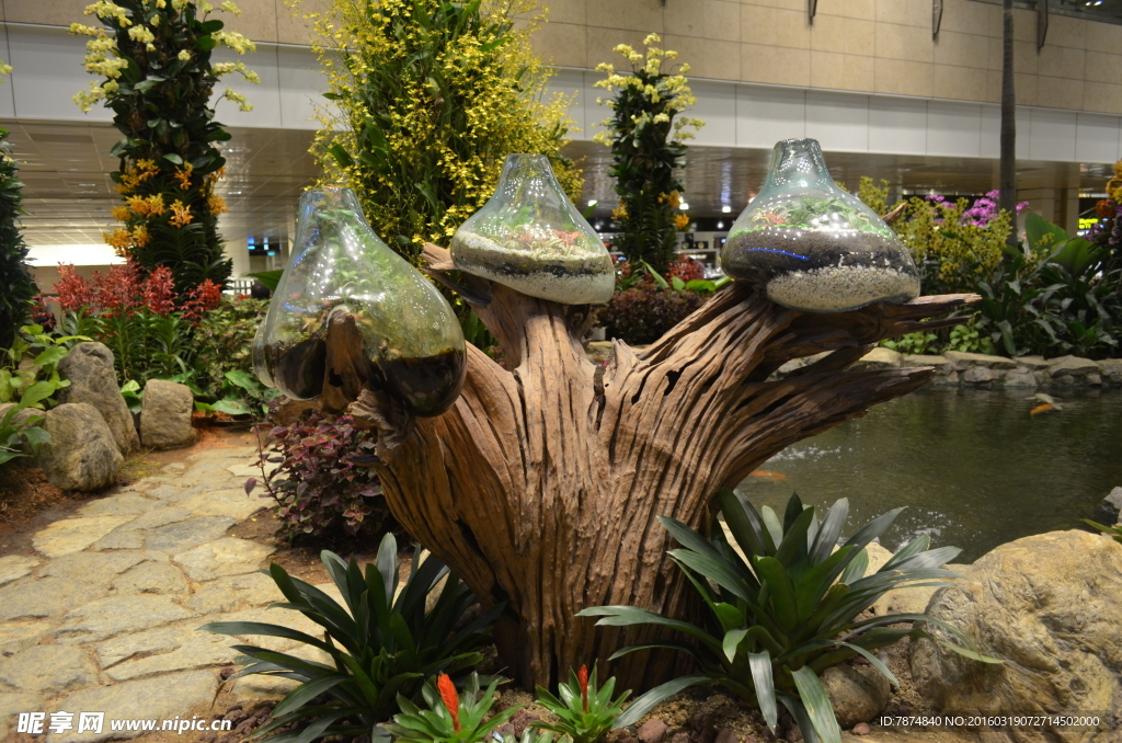 新加坡滨海植物园