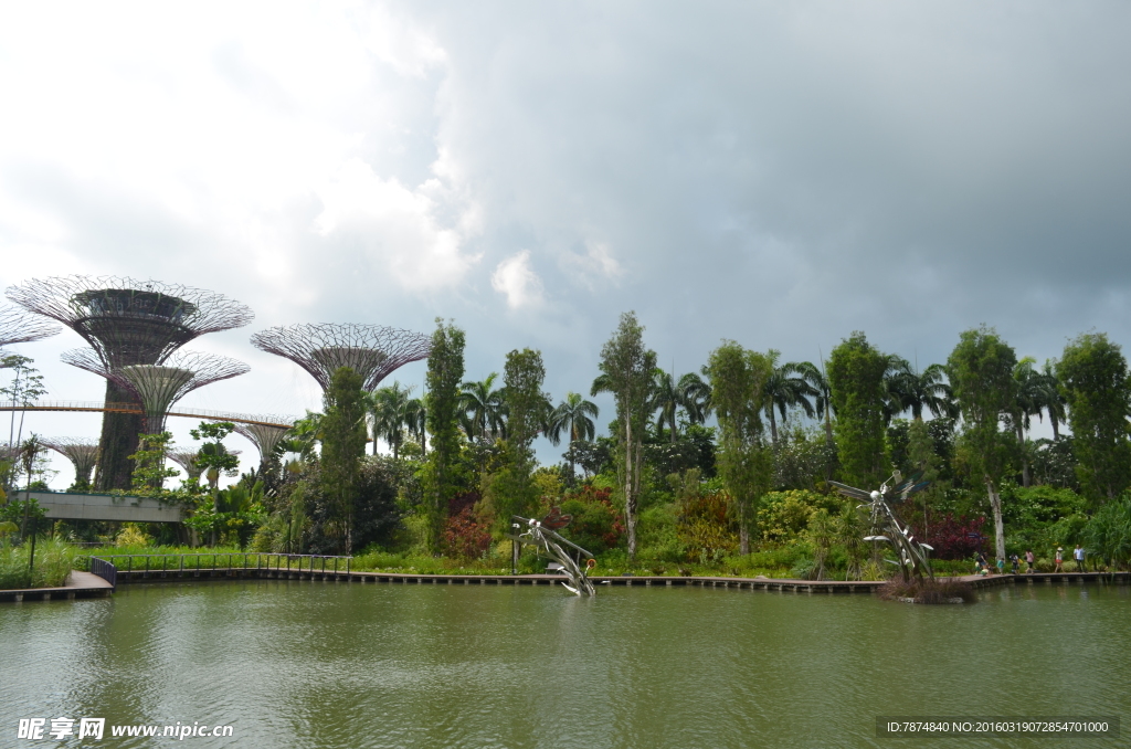 新加坡滨海植物园