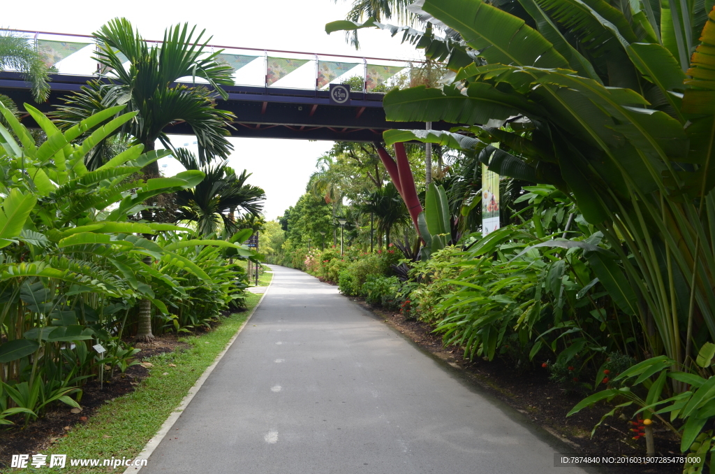 新加坡滨海植物园