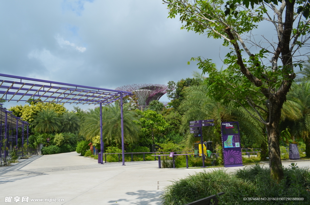 新加坡滨海植物园