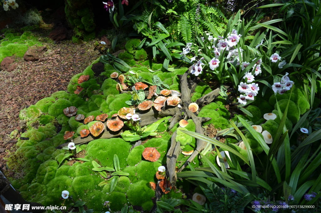 新加坡滨海植物园