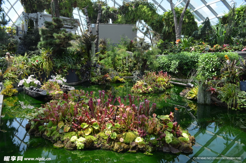 新加坡滨海植物园