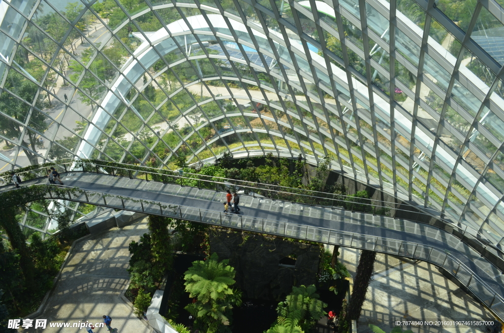 新加坡滨海植物园