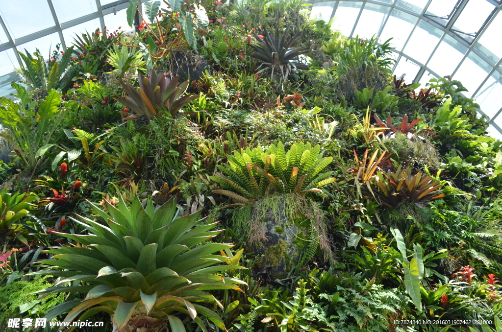 新加坡滨海植物园