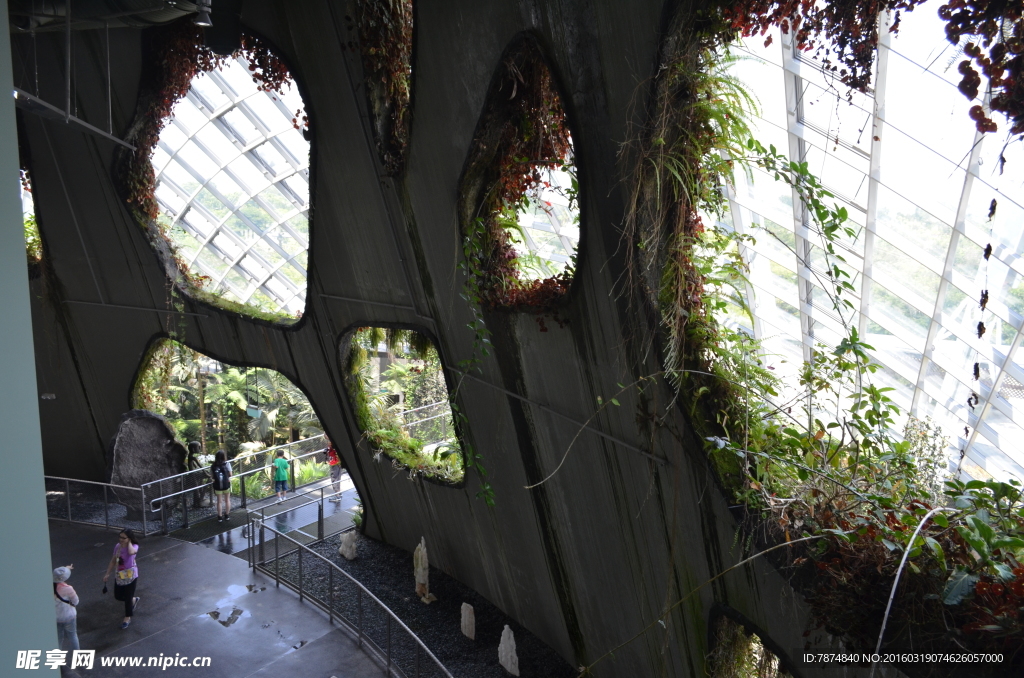 新加坡滨海植物园