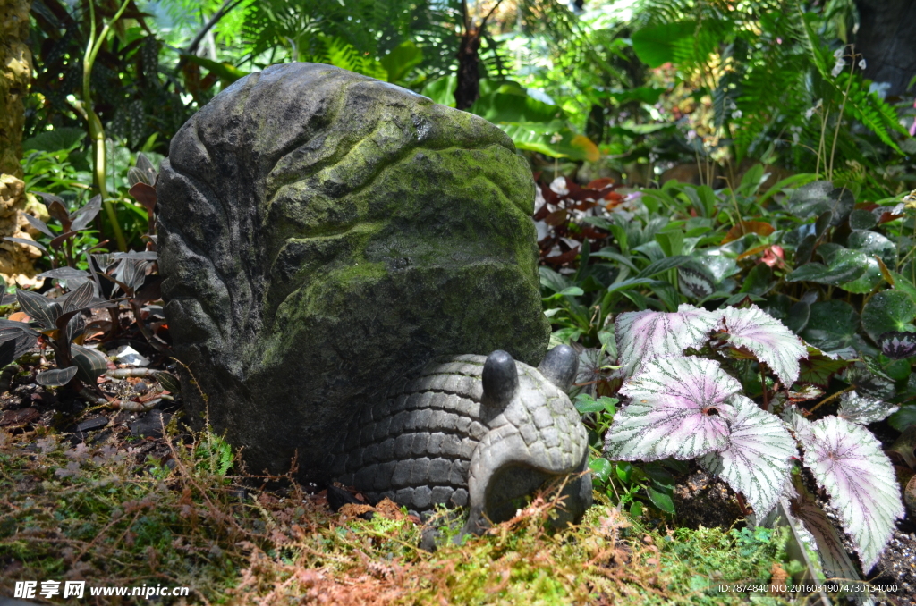 新加坡滨海植物园
