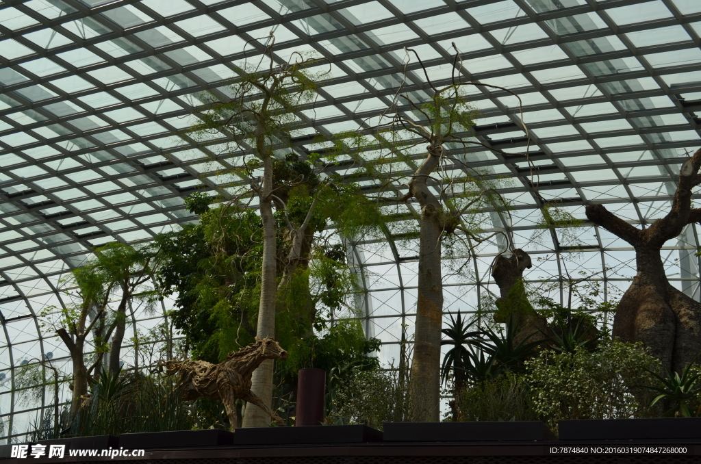 新加坡滨海植物园