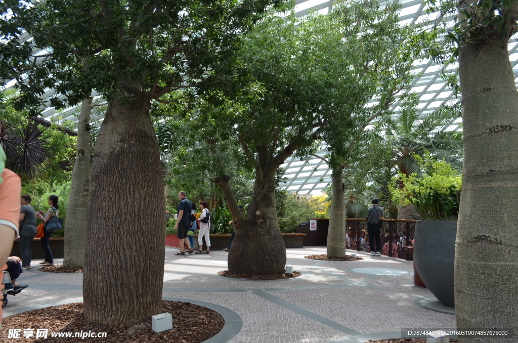 新加坡滨海植物园