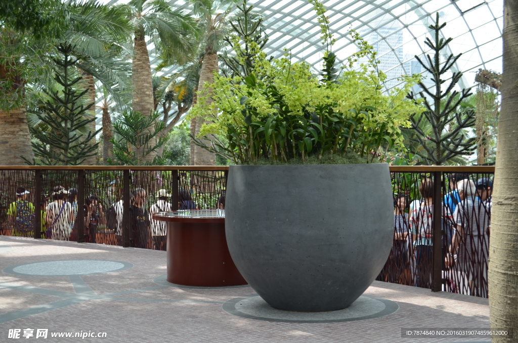 新加坡滨海植物园