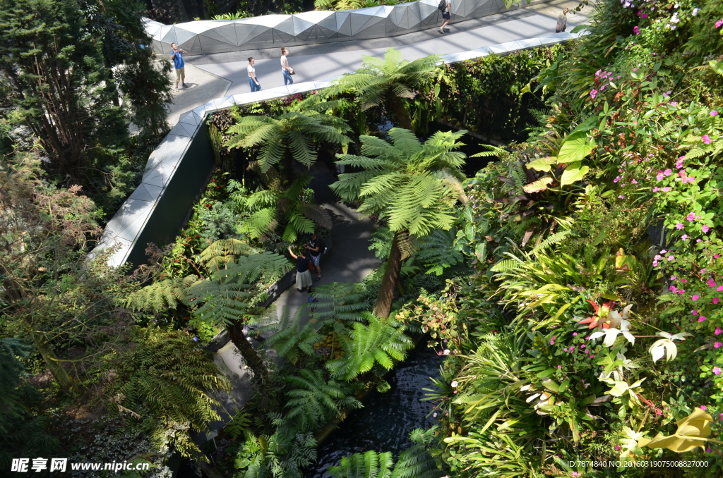 新加坡滨海植物园