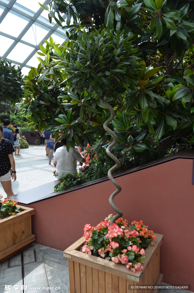 新加坡滨海植物园