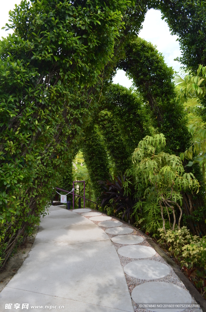 新加坡滨海空中花园