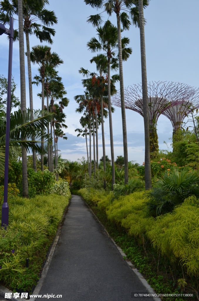 新加坡滨海空中花园