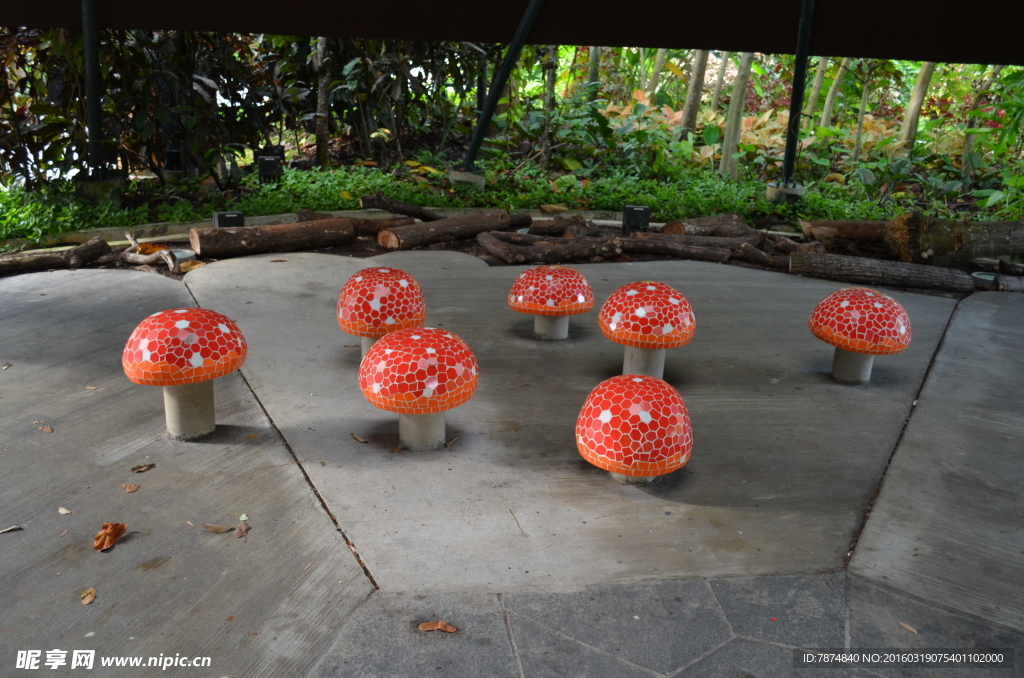 新加坡滨海植物园