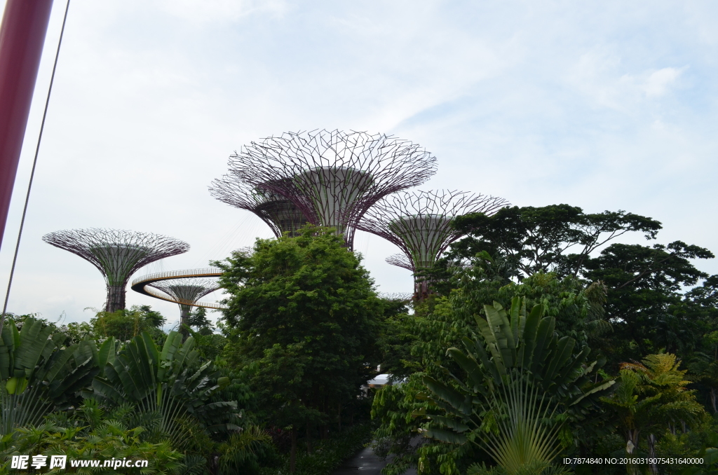 新加坡滨海空中花园