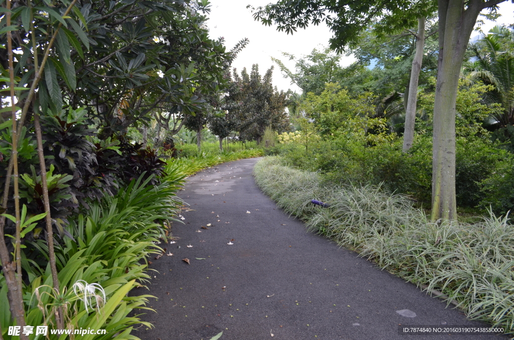 新加坡滨海空中花园