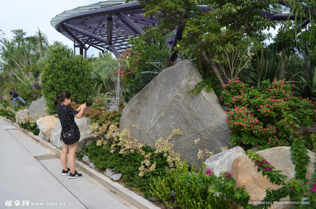 新加坡滨海空中花园