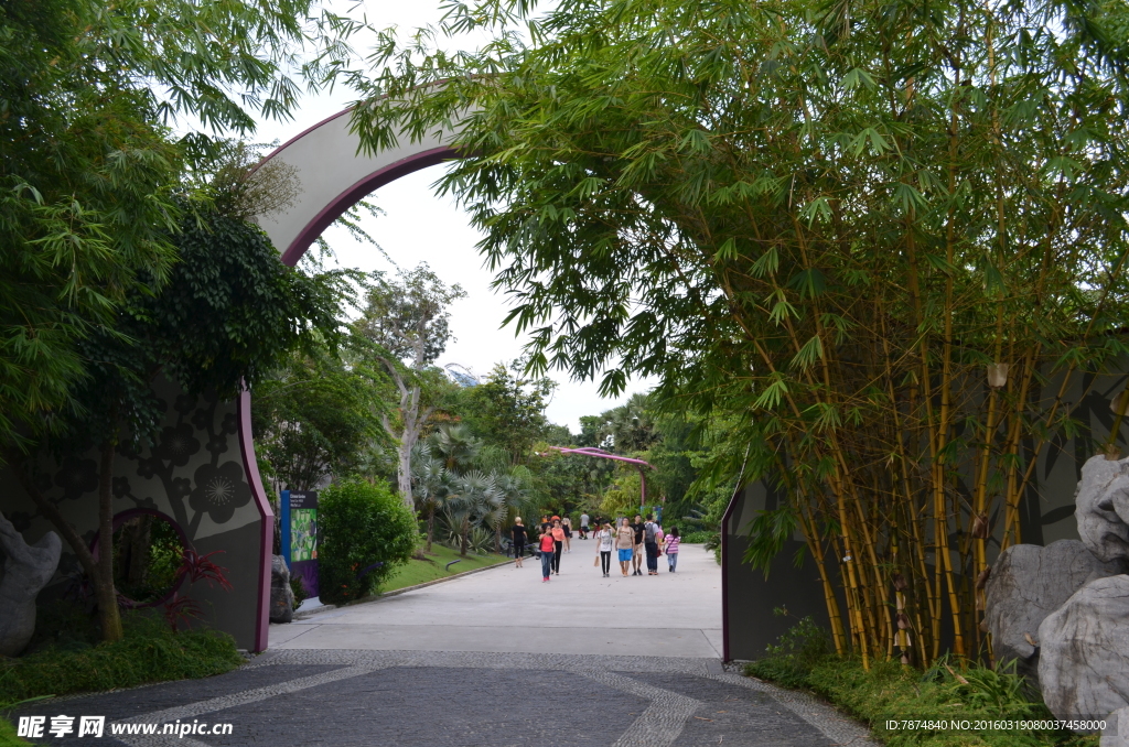 新加坡滨海空中花园