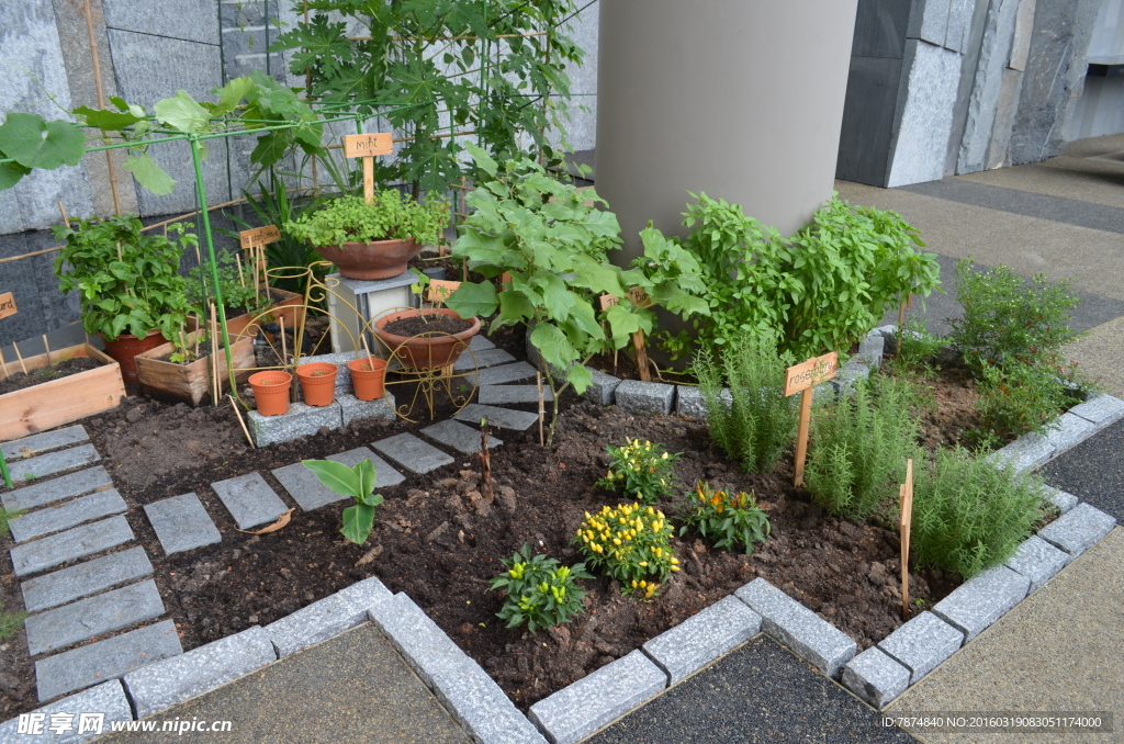 新加坡滨海植物园