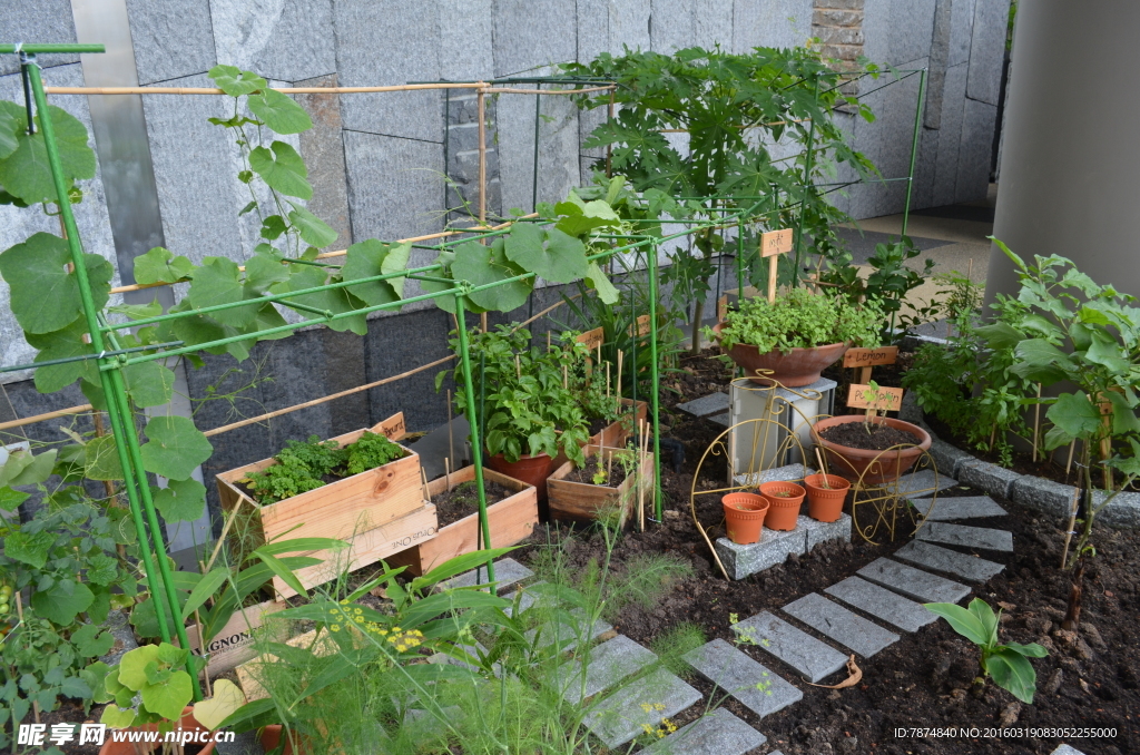 新加坡滨海空中花园