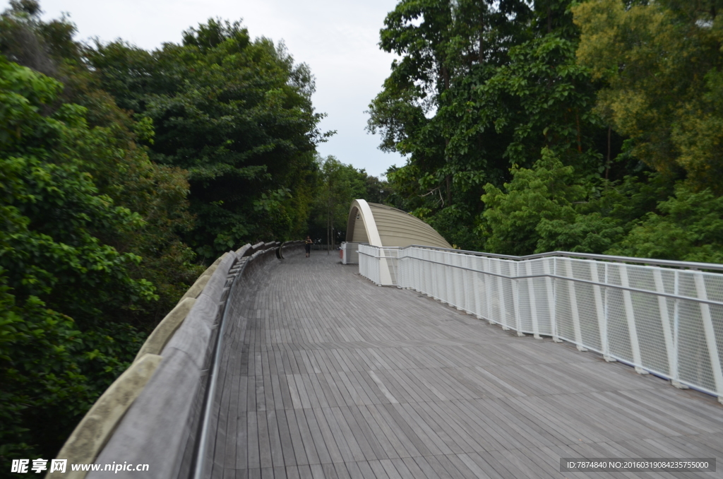新加坡滨海空中花园