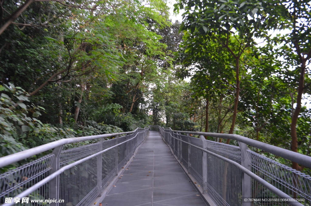 新加坡滨海空中花园