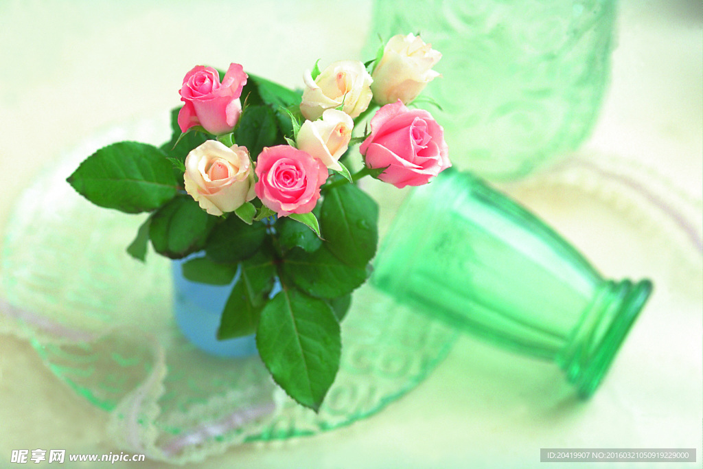 玫瑰花