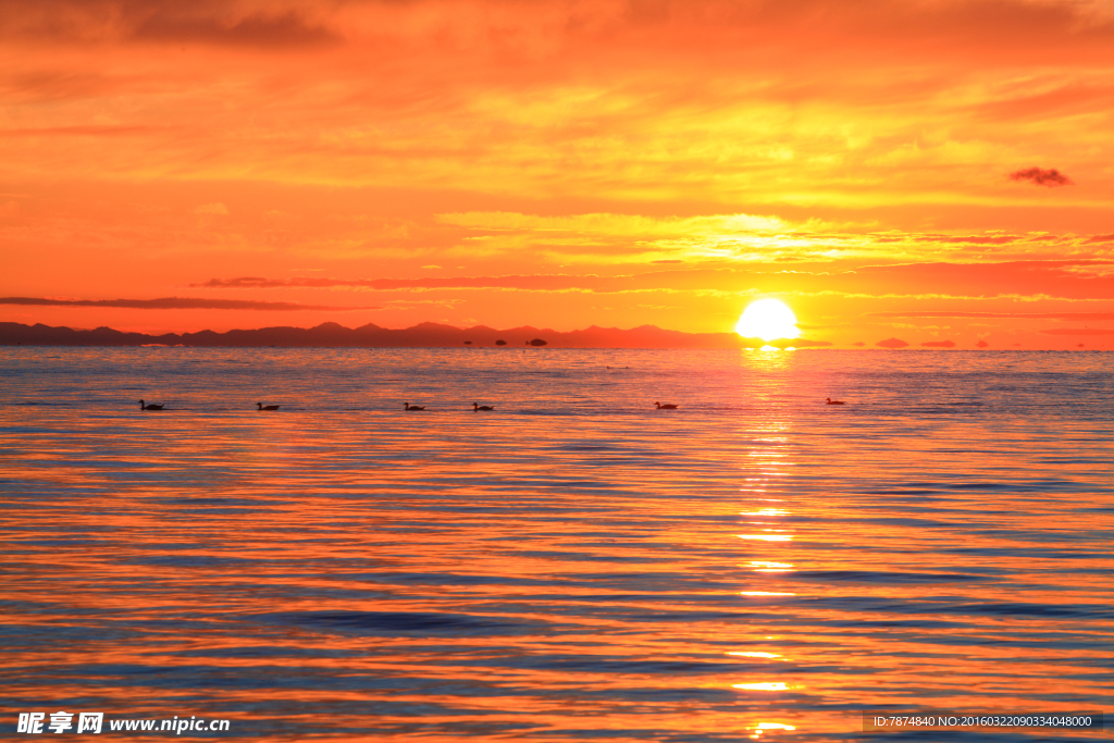 夕阳下的青海湖